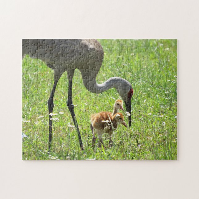 Sandhill Crane und Colts Puzzle (Horizontal)