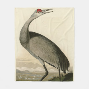 Sandhill Crane von Audubons Vögeln von Amerika Fleecedecke