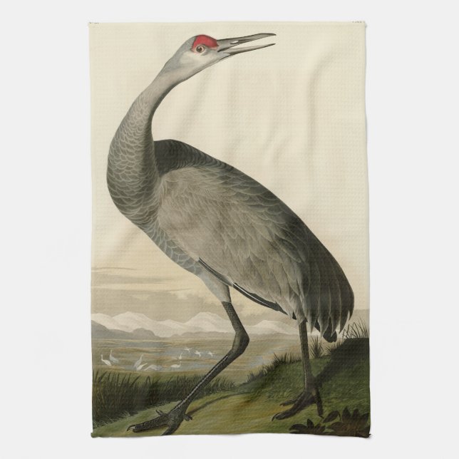 Sandhill Crane von Audubons Vögeln von Amerika Geschirrtuch (Vertikal)