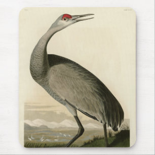 Sandhill Crane von Audubons Vögeln von Amerika Mousepad