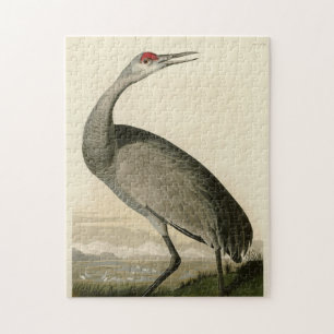 Sandhill Crane von Audubons Vögeln von Amerika Puzzle