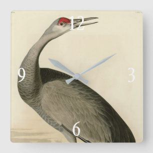 Sandhill Crane von Audubons Vögeln von Amerika Quadratische Wanduhr