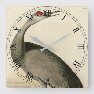 Sandhill Crane von Audubons Vögeln von Amerika Quadratische Wanduhr