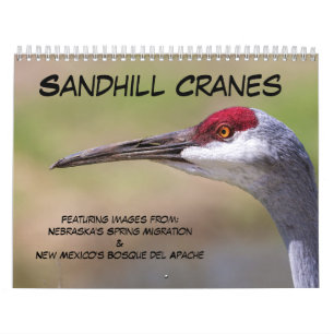 Sandhill Cranes Calendar Kalender