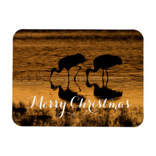 Sandhill Cranes, frohe Weihnachten Magnet