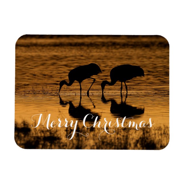 Sandhill Cranes, frohe Weihnachten Magnet (Horizontal)