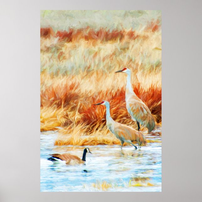 Sandhill Cranes & Goose Poster (Vorne)