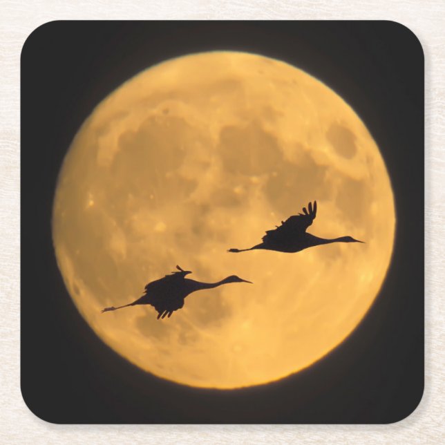 Sandhill Cranes National Wildlife Reserve Rechteckiger Pappuntersetzer (Vorderseite)