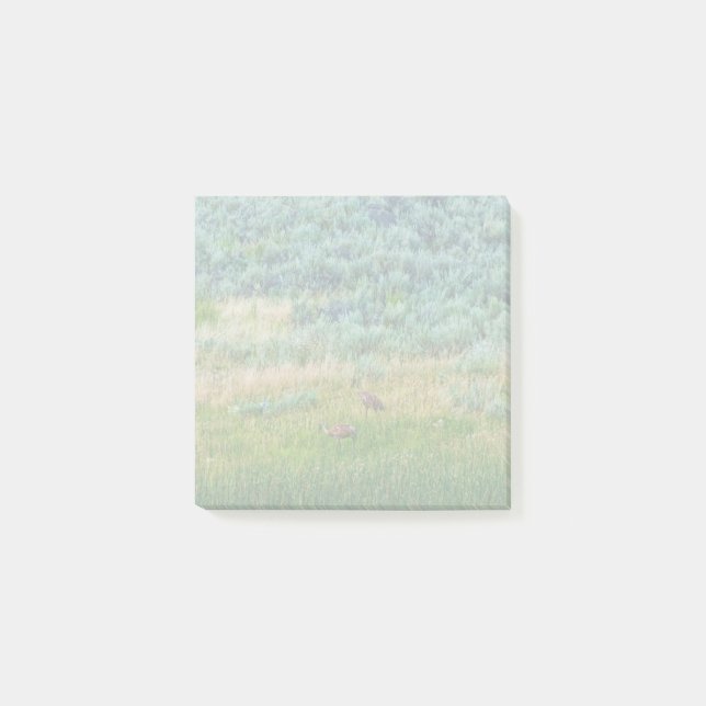 Sandhill Cranes Post-it Klebezettel (Vorderseite)