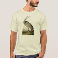 Sandhill Kran-John James Audubon-Vögel von Amerika