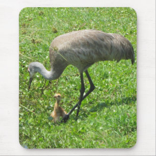 Sandhill Kran und Küken Mousepad