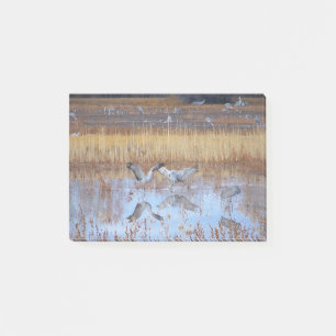 Sandhill Kran-Vogel-Tanz-Tier-Post-Itanmerkungen Post-it Klebezettel