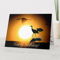 Sandhill Kran-Vogel-Tier-Tier-Geburtstag