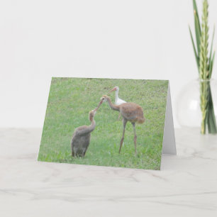 Sandhill Kräne Karte