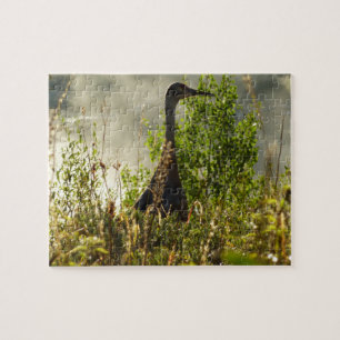 Sandhill-Kranich an den Moose Ponds im Grand Teton Puzzle