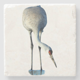 Sandhill-Kranich-Foto-Steinuntersetzer Steinuntersetzer