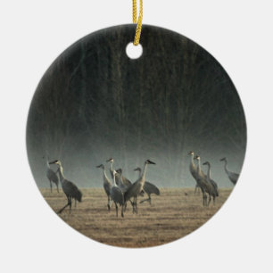 Sandhill streckt am frühen Morgen Frühlings-Nebel Keramikornament