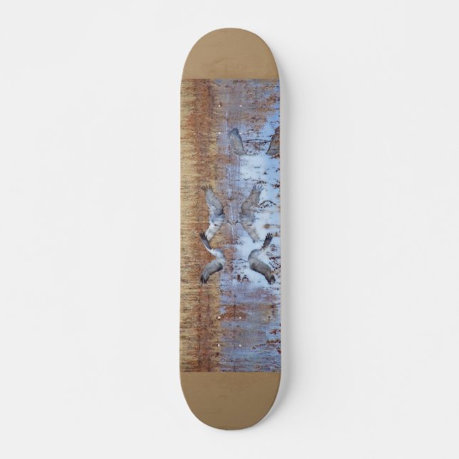 Sandhill streckt Fotografie-Skateboard Skateboard (Vorne)