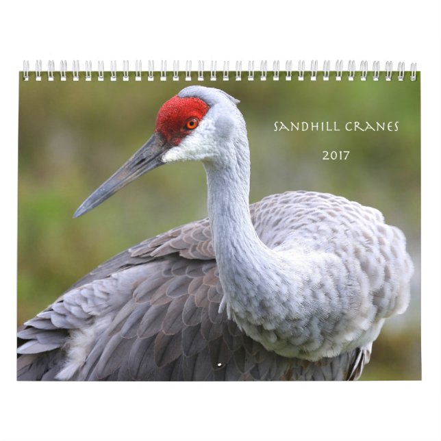 Sandhill streckt Kalender 2017 (Titelbild)