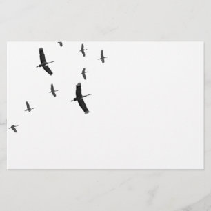 Sandhill streckt sich im Flug Briefpapier