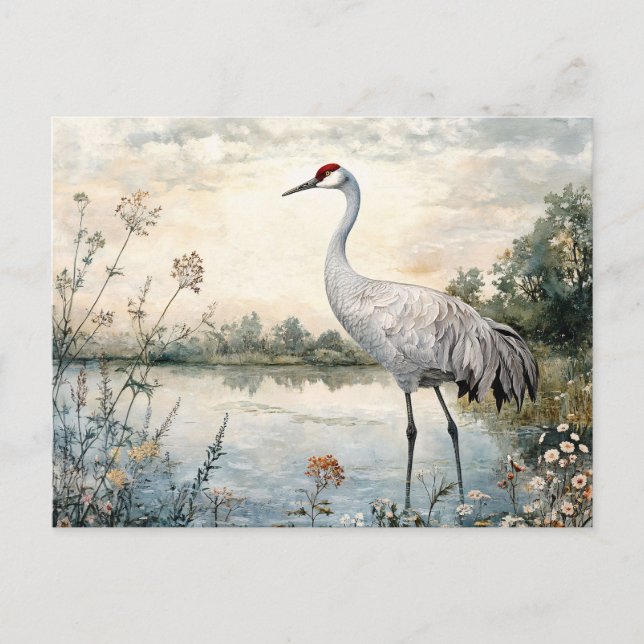 Sandhügel Kranich am Teich Postkarte (Vorderseite)