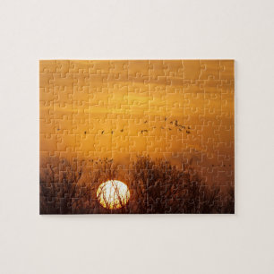 Sandhügelkrane, silhouettiert gegen aufgehende Son Puzzle