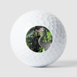 Sandhügelkranich Golfball
