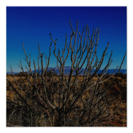 Sandia Mountains Albuquerque Fotodruck