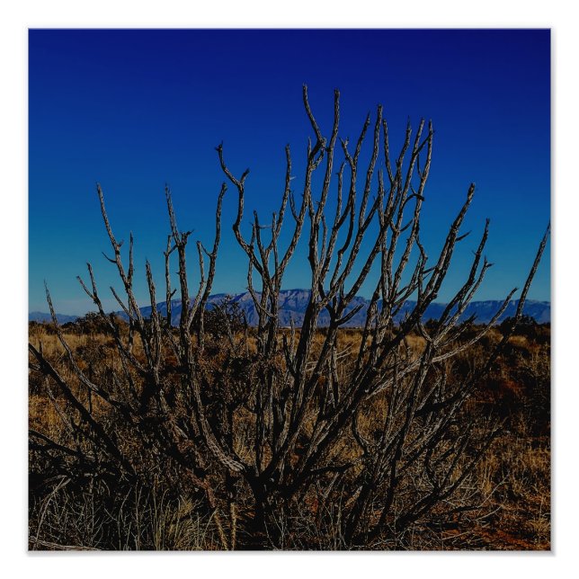 Sandia Mountains Albuquerque  Fotodruck (Vorne)