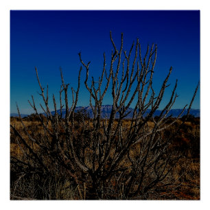 Sandia Mountains Albuquerque Poster