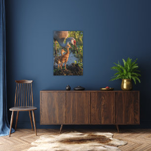 Sandkranich mit Küken, Florida Leinwanddruck