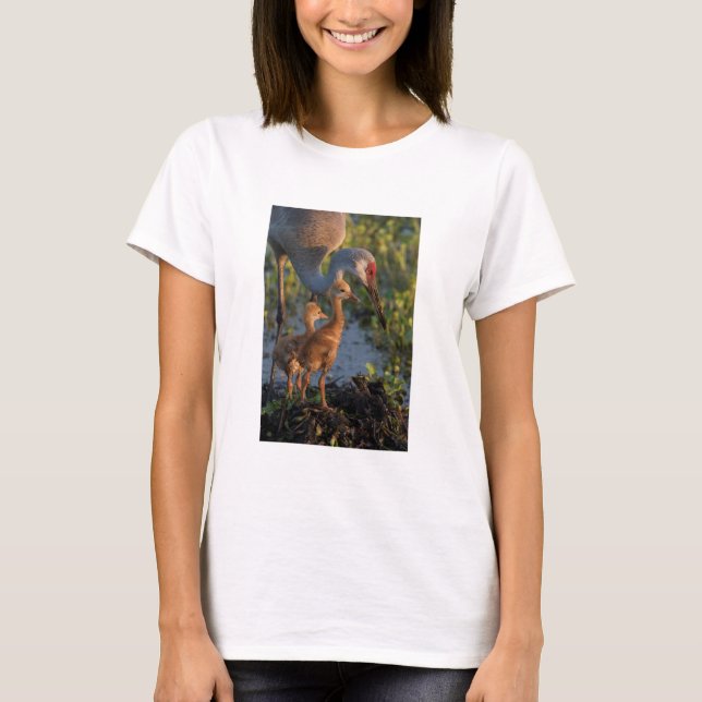 Sandkranich mit Küken, Florida T-Shirt (Vorderseite)
