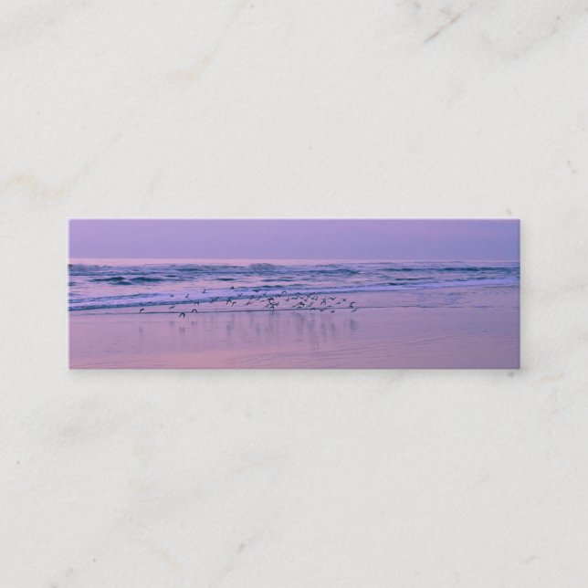 Sandpferde am Strand bei Sunrise Contact Cards Telefonnummerkarte (Vorderseite)