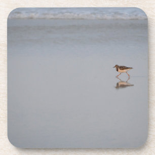 Sandpiper am Strand Getränkeuntersetzer