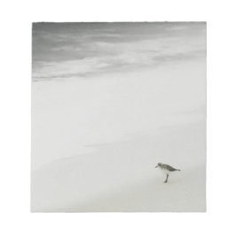 Sandpiper am Strand Notizblock