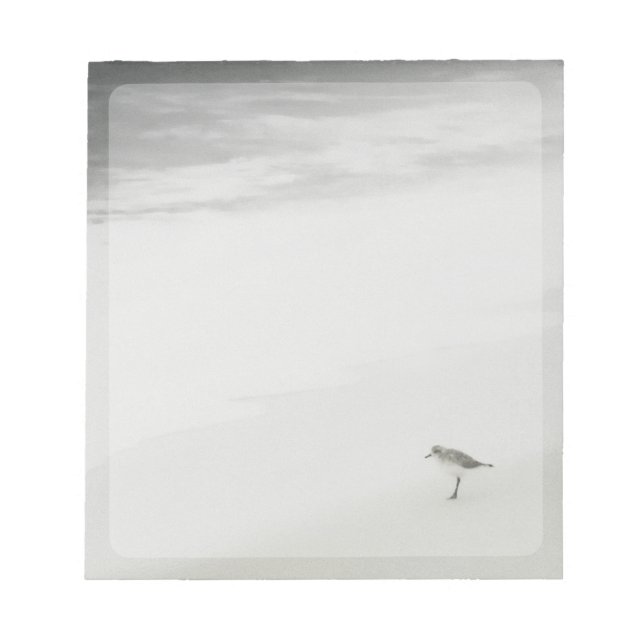 Sandpiper am Strand Notizblock (Vorderseite)