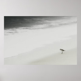 Sandpiper am Strand Poster