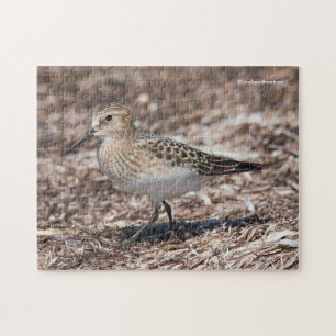 Sandpiper am Strand Puzzle