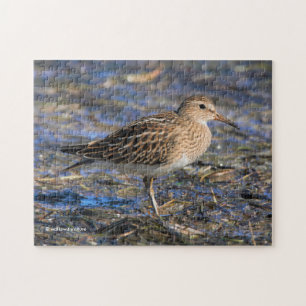 Sandpiper am Strand Puzzle