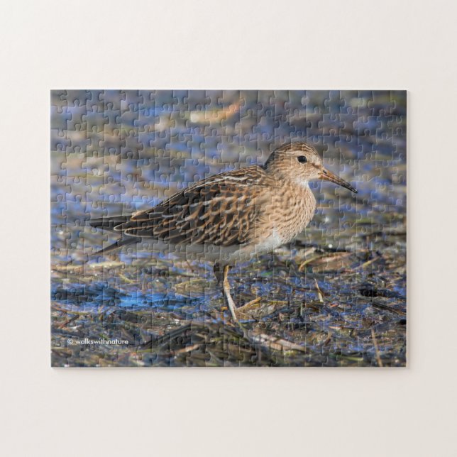Sandpiper am Strand Puzzle (Horizontal)