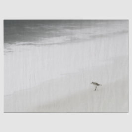 Sandpiper am Strand Seidenpapier