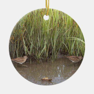Sandpiper Bird Foto Ornament