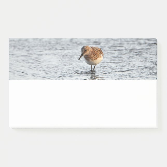 Sandpiper Bird Foto Stationery Note Pad Post-it Klebezettel (Vorderseite)