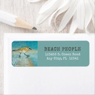 Sandpiper Coastal Bird Beach Painted Art