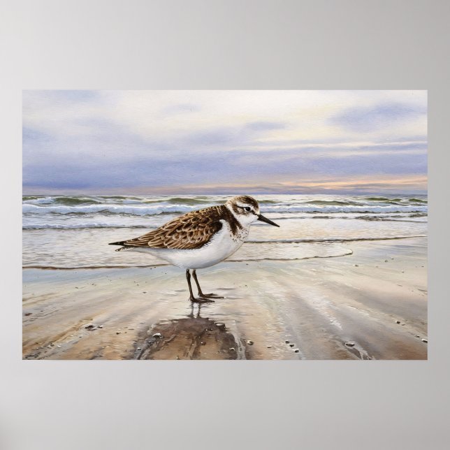 Sandpiper in Beach Bird Art Poster (Vorne)