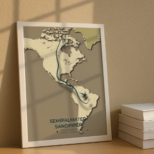 Sandpiper-Migrationskarte - Minimalistisch Poster
