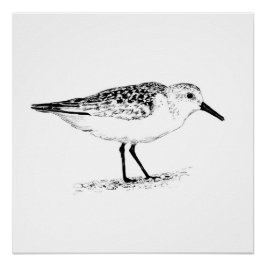 sandpiper monochrome print poster