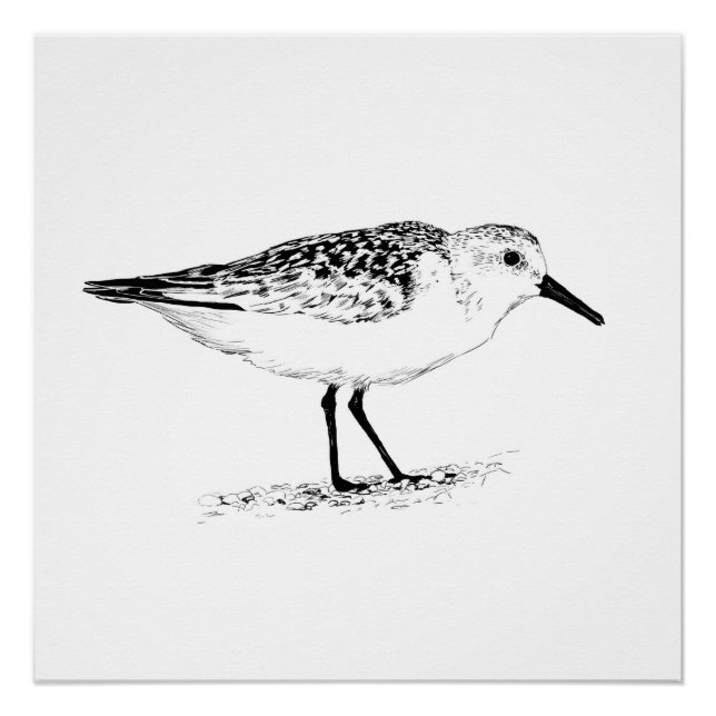 sandpiper monochrome print poster (Vorderseite)