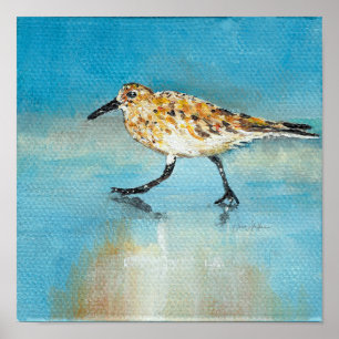 Sandpiper North American Wading Art Print Poster