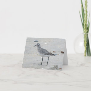 Sandpiper Note Card Karte